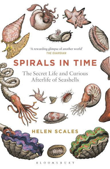 Helen Scales - Spirals in Time, Häftad