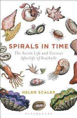 Spirals in Time 1