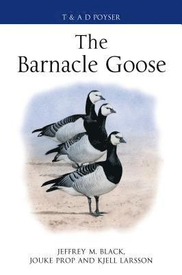bokomslag The Barnacle Goose