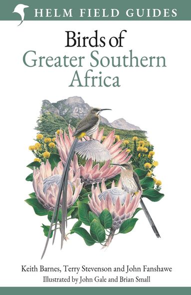 Keith Barnes, Terry Stevenson, John Fanshawe - Field Guide to Birds of Greater Southern Africa, Häftad
