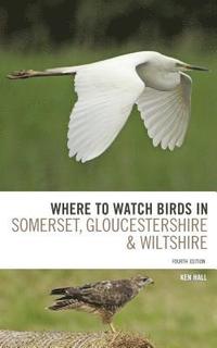 bokomslag Where To Watch Birds in Somerset, Gloucestershire and Wiltshire