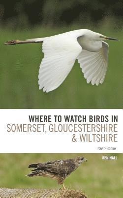 Where To Watch Birds in Somerset, Gloucestershire and Wiltshire 1