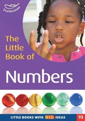 bokomslag Little Book of Numbers