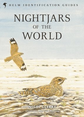 Nightjars of the World 1