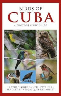 bokomslag Photographic Guide to the Birds of Cuba