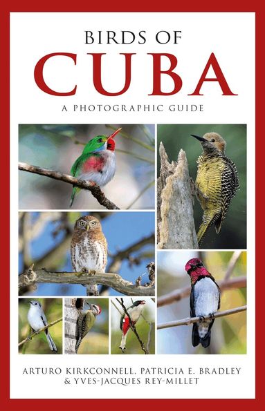 Arturo Kirkconnell, Patricia E. Bradley, Yves-Jacques Rey-Millet - Photographic Guide to the Birds of Cuba, Häftad