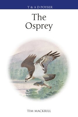 bokomslag The Osprey