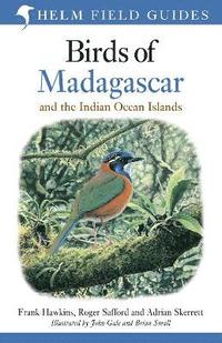 bokomslag Field Guide to the Birds of Madagascar and the Indian Ocean Islands