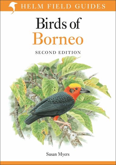 bokomslag Field Guide to the Birds of Borneo