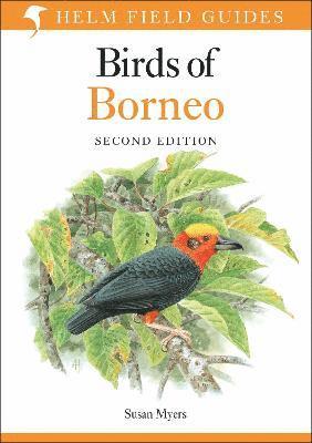 Birds of Borneo 1