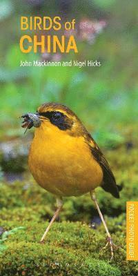 Mackinnon, J: Birds of China