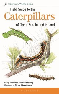 bokomslag Field Guide to the Caterpillars of Great Britain and Ireland