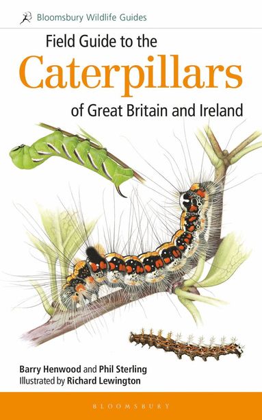 bokomslag Field Guide to the Caterpillars of Great Britain and Ireland