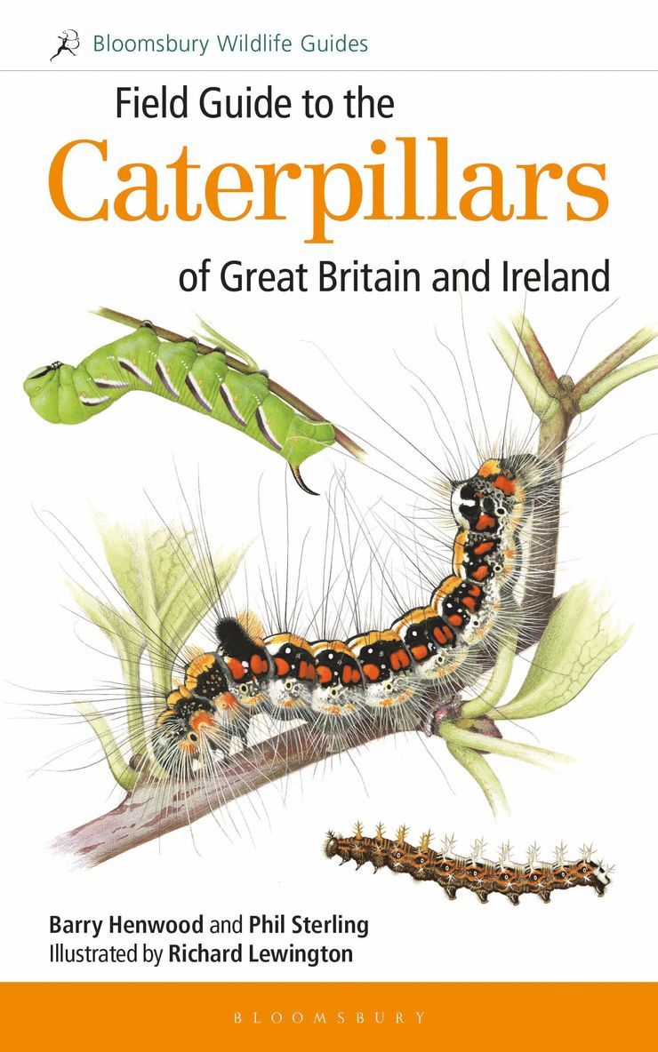Phil Sterling, Barry Henwood, Dr Phil Sterling - Field Guide to the Caterpillars of Great Britain and Ireland, Häftad