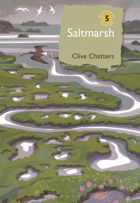 Chatters, C: Saltmarsh