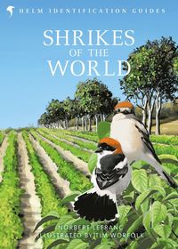 bokomslag Shrikes of the World