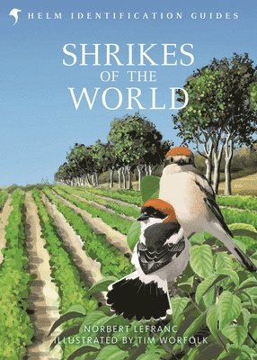 Shrikes of the World 1