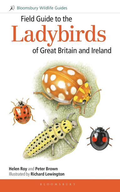 Helen Roy, Peter Brown - Field Guide to the Ladybirds of Great Britain and Ireland, Häftad