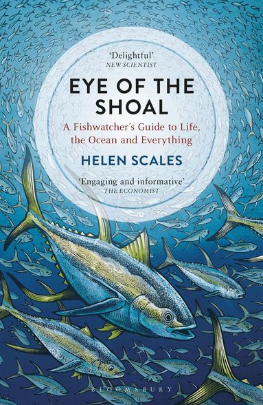 Helen Scales - Eye of the Shoal, Häftad