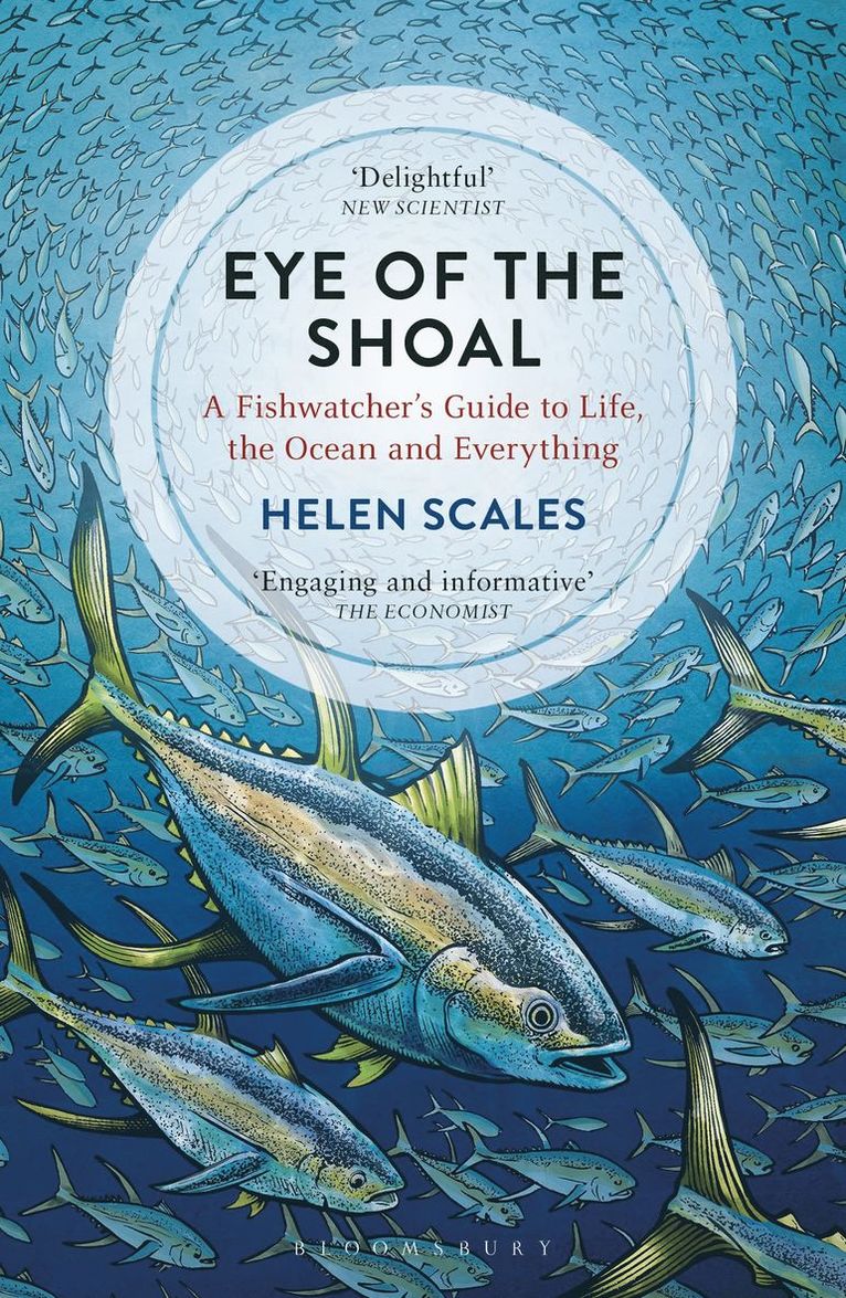 Eye of the Shoal 1