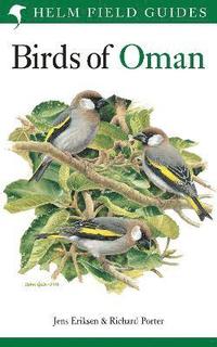 bokomslag Field Guide to the Birds of Oman