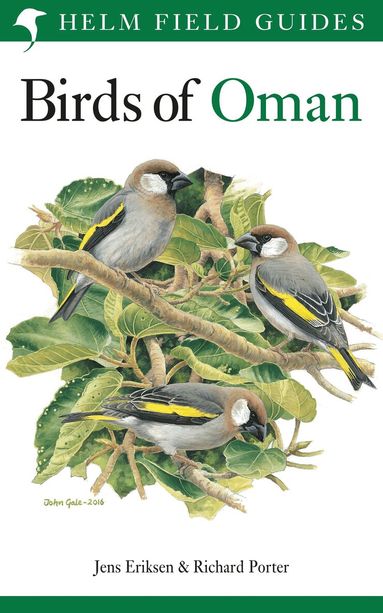Jens Eriksen, Richard Porter - Field Guide to the Birds of Oman, Häftad