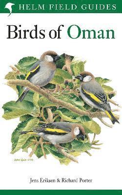 Birds of Oman 1