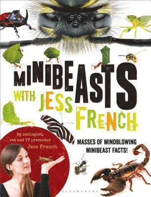 Minibeasts with Jess French 1