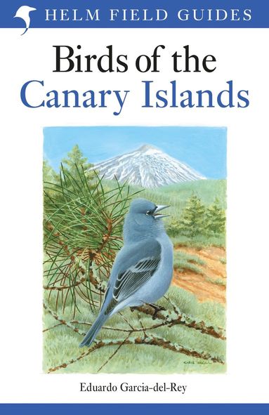 bokomslag Field Guide to the Birds of the Canary Islands