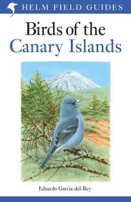 Field Guide to the Birds of the Canary Islands 1