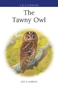 bokomslag The Tawny Owl
