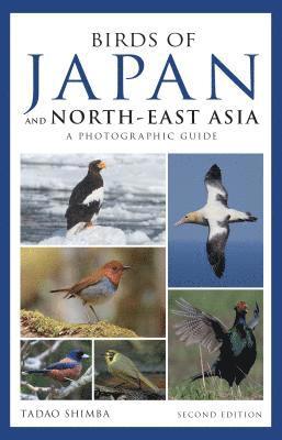 bokomslag Photographic Guide to the Birds of Japan and North-east Asia