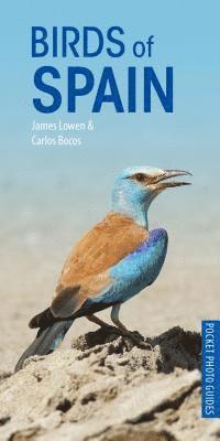 Carlos Bocos Gonzalez, James Lowen - Birds of Spain, Häftad