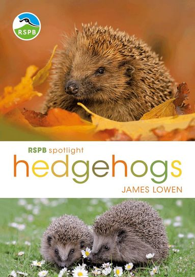 James Lowen - RSPB Spotlight Hedgehogs, Häftad