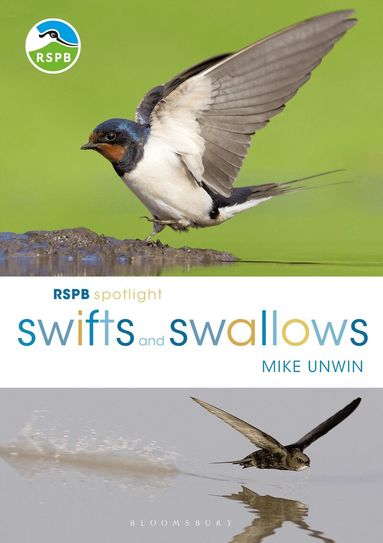 Mike Unwin - RSPB Spotlight Swifts and Swallows, Häftad