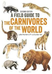 bokomslag Field Guide to Carnivores of the World, 2nd edition