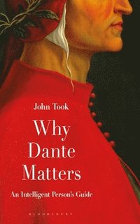 bokomslag Why Dante Matters