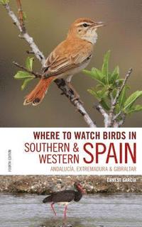 bokomslag Where to Watch Birds in Southern and Western Spain