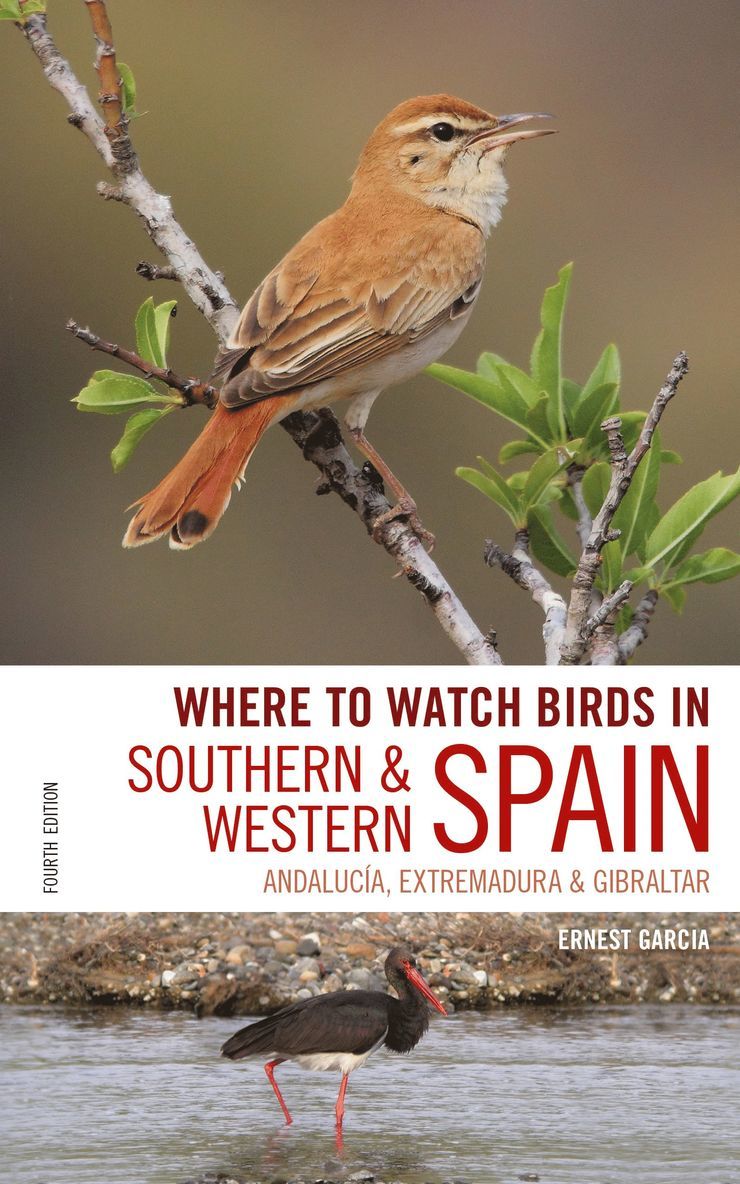 Where to Watch Birds in Southern and Western Spain 1