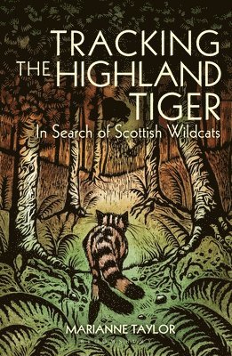 Tracking The Highland Tiger 1