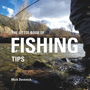 bokomslag Little Book of Fishing Tips