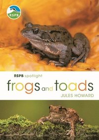 bokomslag RSPB Spotlight Frogs and Toads