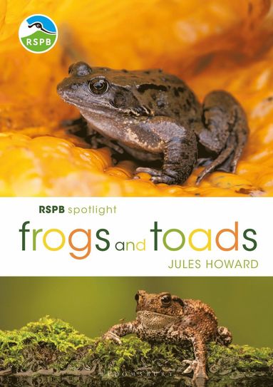 bokomslag RSPB Spotlight Frogs and Toads