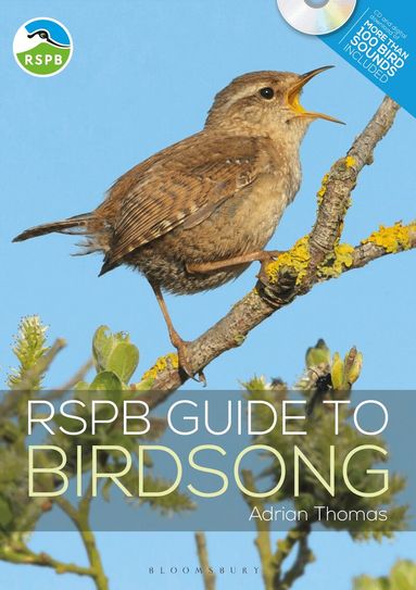 Adrian Thomas - RSPB Guide to Birdsong, Häftad
