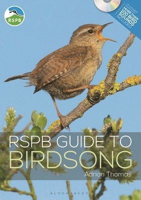 Adrian Thomas - RSPB Guide to Birdsong, Häftad