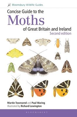 bokomslag Concise Guide to the Moths of Great Britain and Ireland: Second edition
