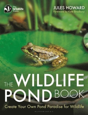 The Wildlife Pond Book 1