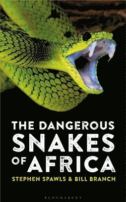 bokomslag Dangerous Snakes of Africa