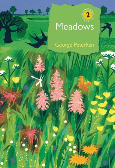 George Peterken - Meadows, Inbunden