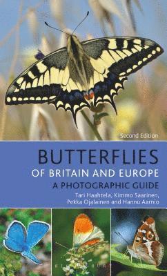 bokomslag Butterflies of Britain and Europe